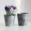 Set of 3 Metal Basket Bucket Farmhouse Planters