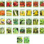 30 Packs of Vegetable Seeds Including 30 Varieties. Create a Deluxe Garden. All Seeds Are Heirloom, 100% Non-Gmo
