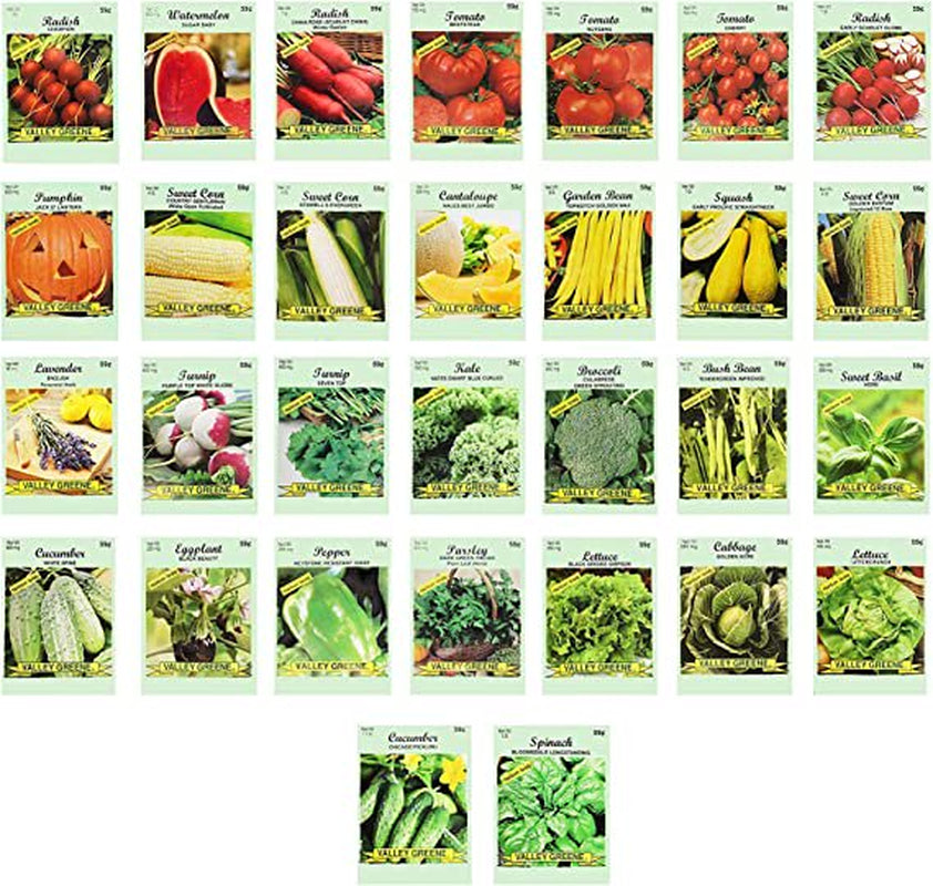 30 Packs of Vegetable Seeds Including 30 Varieties. Create a Deluxe Garden. All Seeds Are Heirloom, 100% Non-Gmo