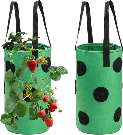  Strawberry Grow Bags 3 Gallon (2, Green)