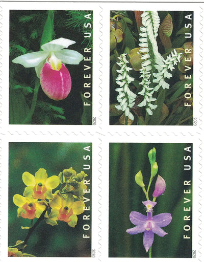 USPS Wild Orchids 2020 Forever Stamps - Booklet of 20 Postage Stamps