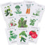  Organic Vegetable Seed Collection (10-Pack) 