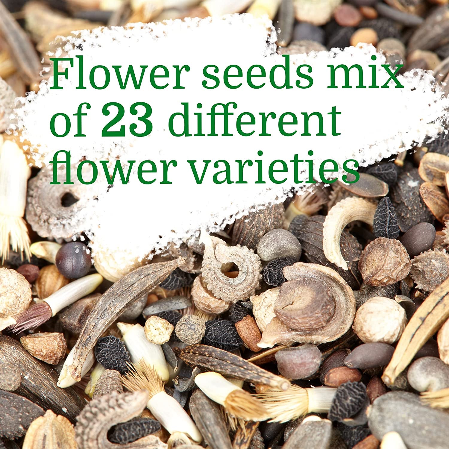  Bee Friendly Wildflower Seeds Mix: Approx. 10,000 Bee Flower Seeds