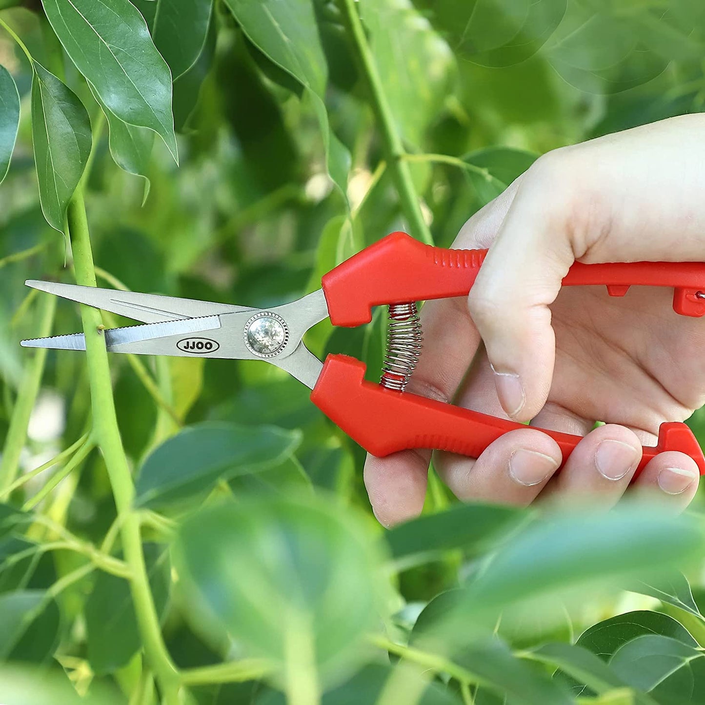 4 PCS Garden Shears