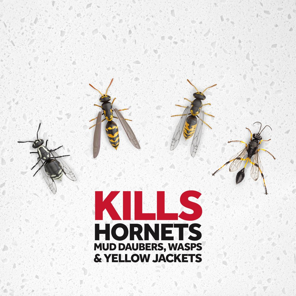 Raid Wasp & Hornet Insect Killer 33, 14 Oz, 2 Ct