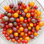 Vegetable Tomato Kaleidoscope Variety Mix (from Small to Giant) - 50 Seeds