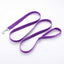 Siumouhoi Strong Durable Nylon Dog Training Leash, Traction Rope, 10 Feet Long, 1 Inch Wide, for Small and Medium Dog (10Feet, Purple)