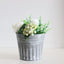 Set of 3 Metal Basket Bucket Farmhouse Planters