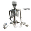 27.5" Halloween Skeleton Halloween Decorations, Haunted House Props for Front Lawn, Graveyard Decorations, Lifelike Skeleton Model, Indoor/Outdoor Spooky Scene Party Favors on Clearance