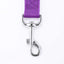 Siumouhoi Strong Durable Nylon Dog Training Leash, Traction Rope, 10 Feet Long, 1 Inch Wide, for Small and Medium Dog (10Feet, Purple)