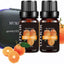 Fragrance Essential Oils Gift Set Summer, Night Air Scents, 6Packx10ml