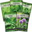  5 Herb Seed Collection - Genovese Basil, Chives, Cilantro, Italian Parsley, and Oregano Seeds