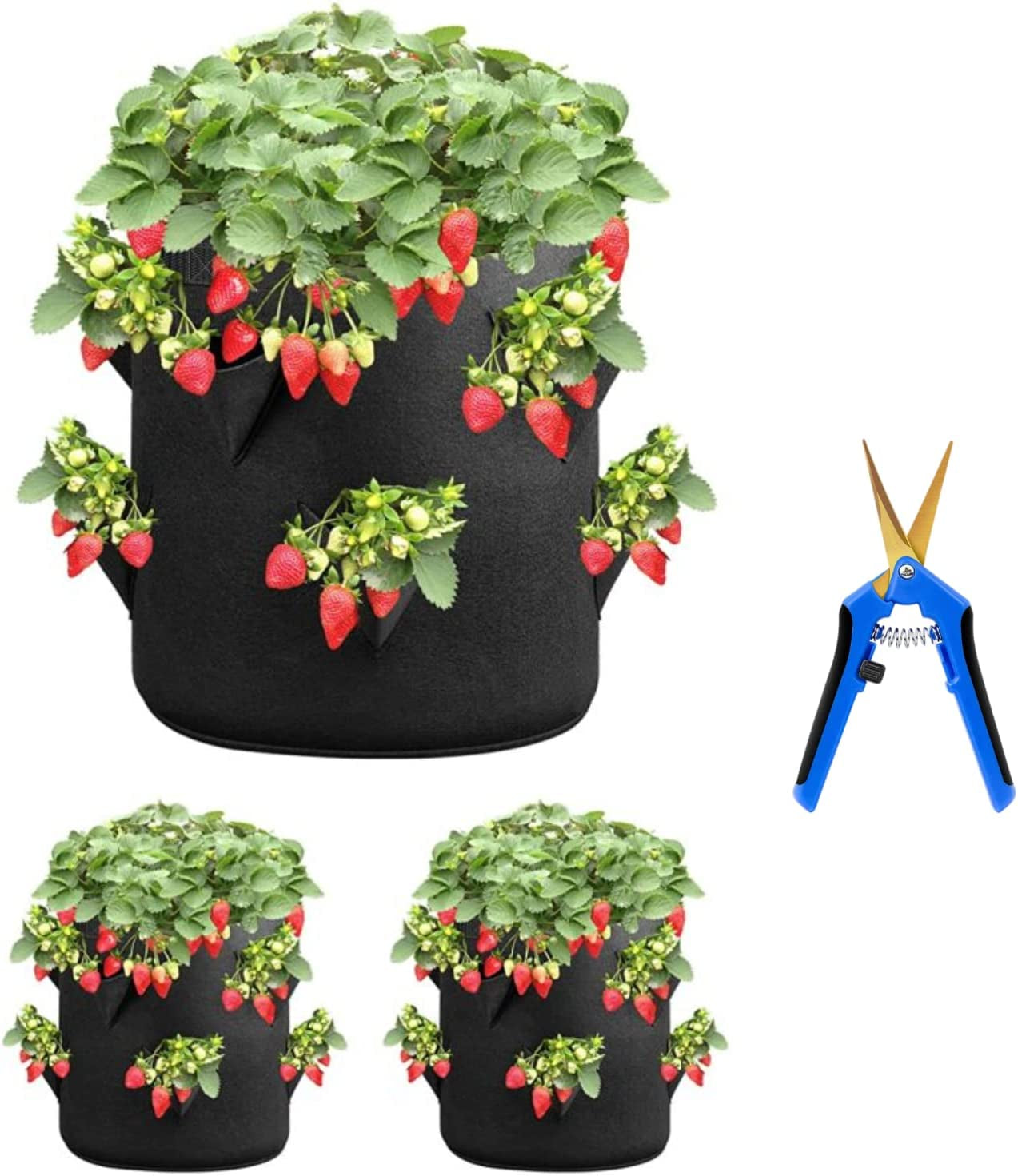 Strawberry Grow Bags 3 Gallon 2-Pack