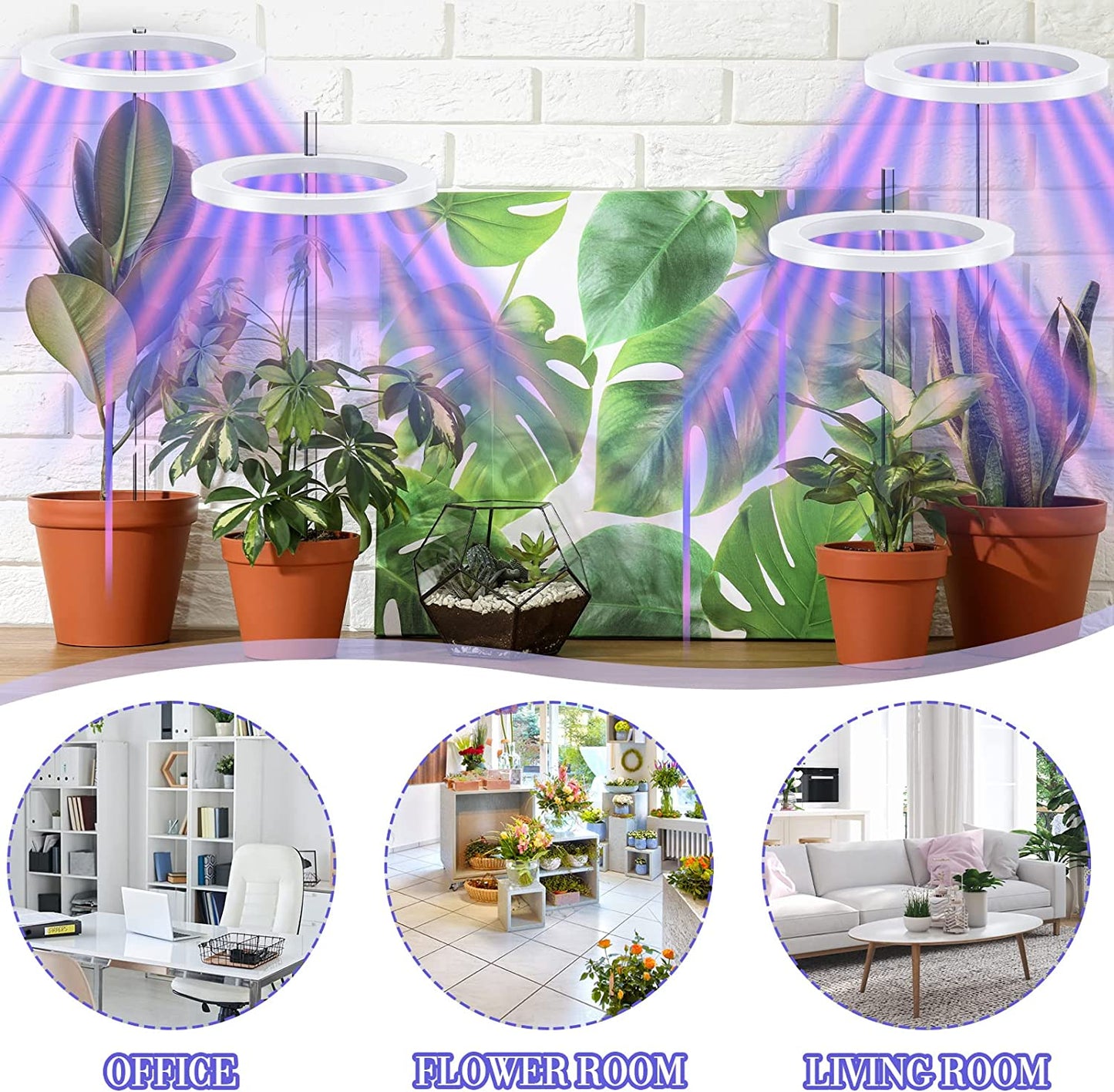 LED Grow Light for Indoor Plants 4 Heads Height Adjustable Plant Growing Lamp Plant Auto Timing Switch Annular Light, Idea for Small Plant Light Home Decoration