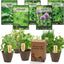  5 Herb Seed Collection - Genovese Basil, Chives, Cilantro, Italian Parsley, and Oregano Seeds
