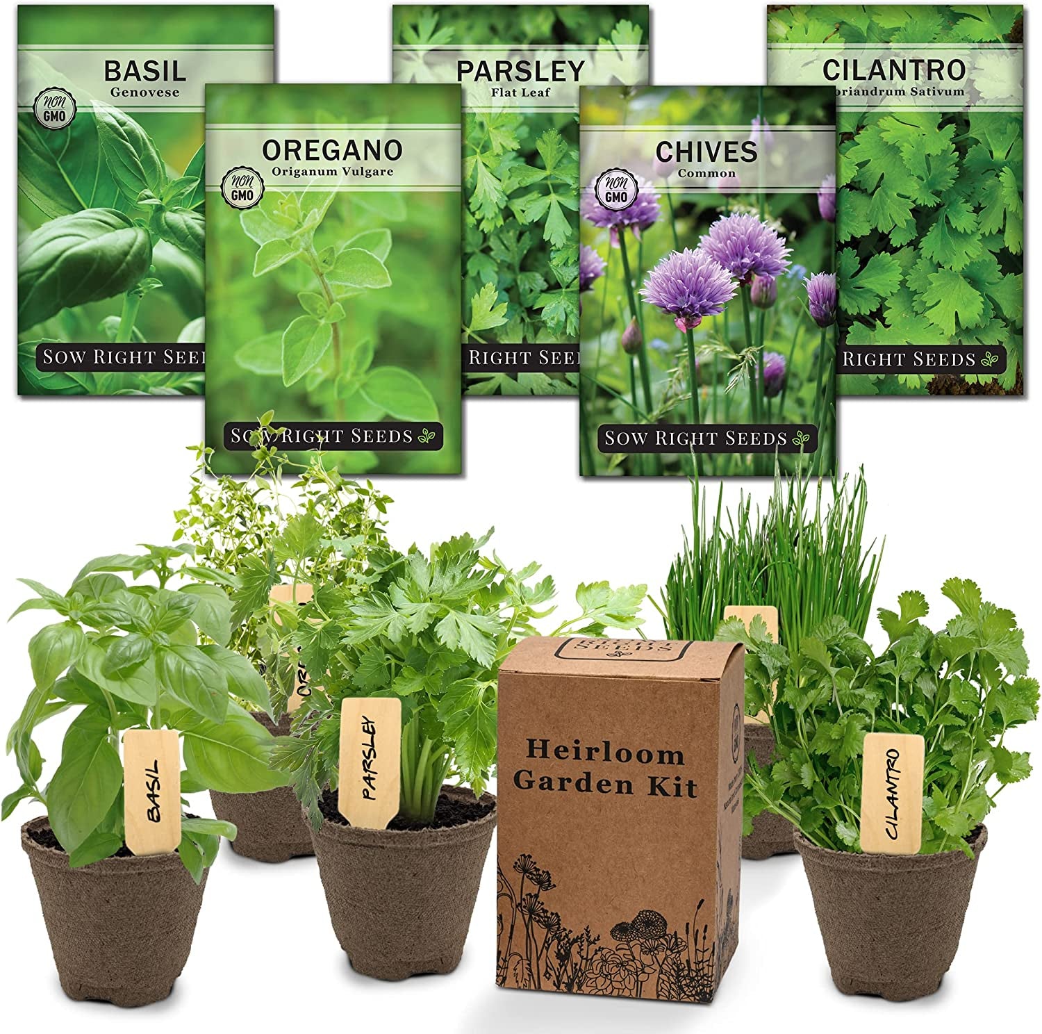  5 Herb Seed Collection - Genovese Basil, Chives, Cilantro, Italian Parsley, and Oregano Seeds