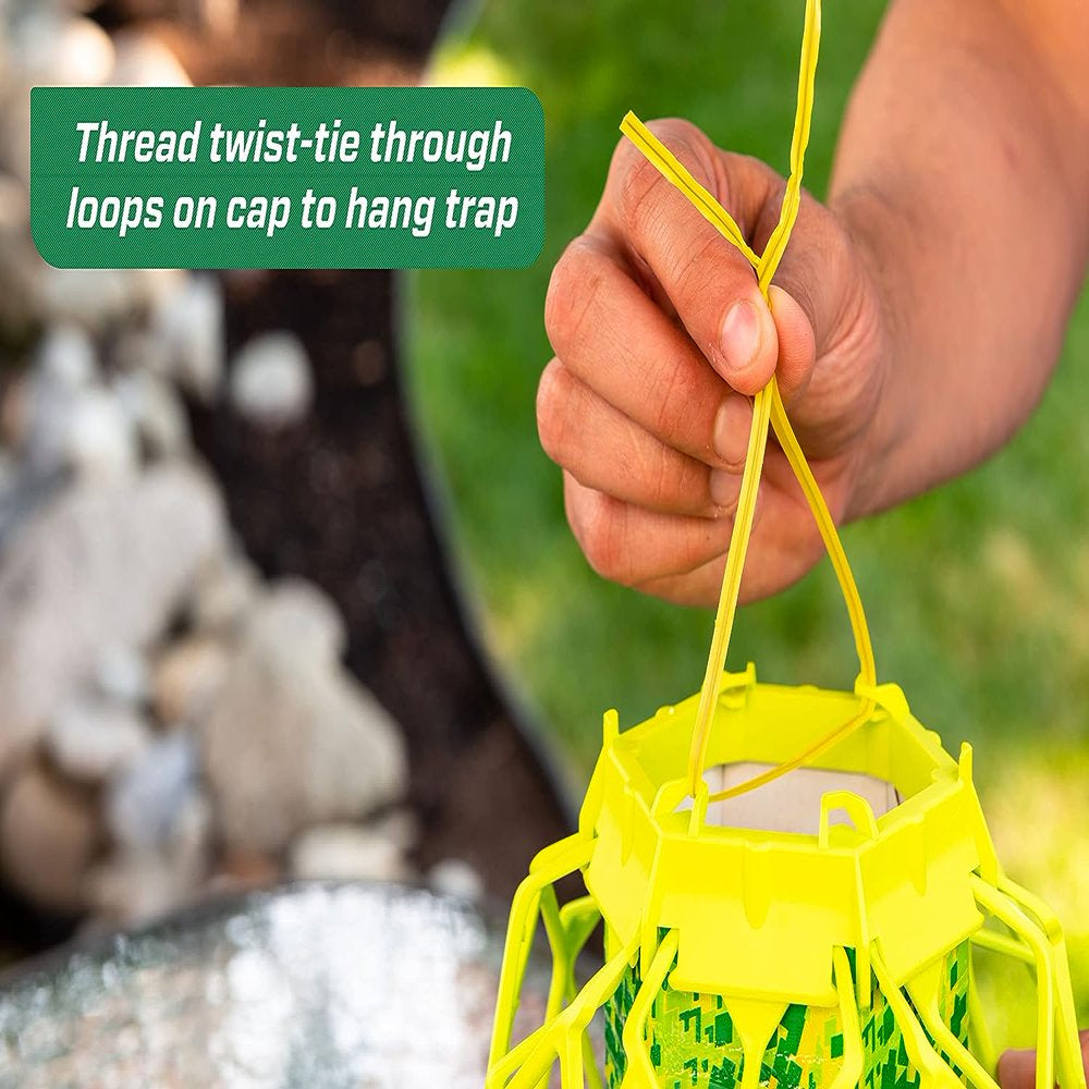  Trapstik for Wasps, Mud Daubers, Carpenter Bees