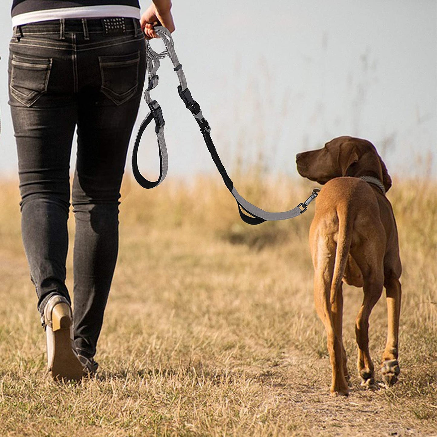  Heavy Duty Hands Free Dog Leash for Training, Hiking, Running or Jogging with Durable Bungee