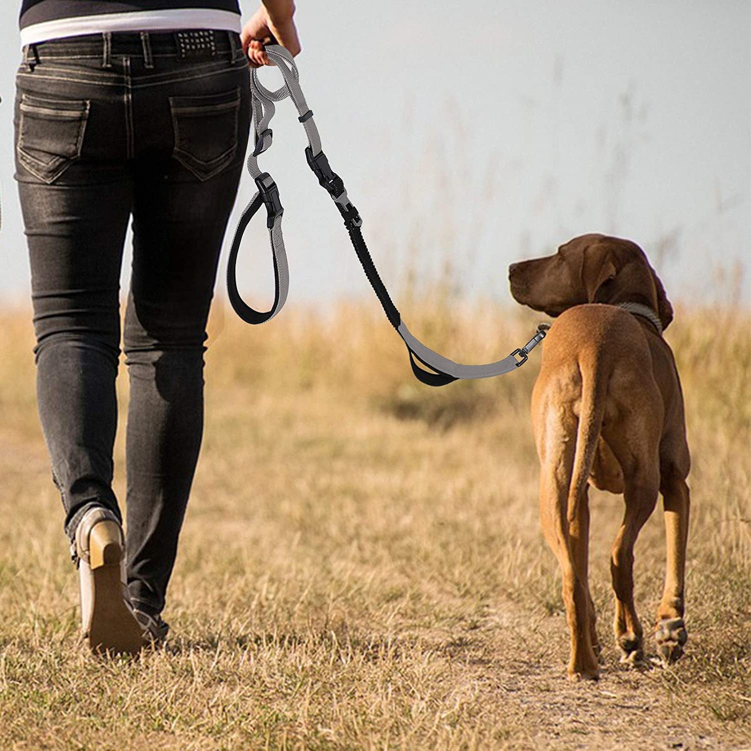  Heavy Duty Hands Free Dog Leash for Training, Hiking, Running or Jogging with Durable Bungee