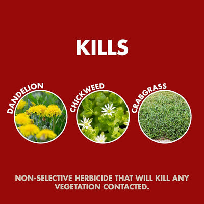 Spectracide Weed & Grass Killer, 1 Gallon (RTU Spray)