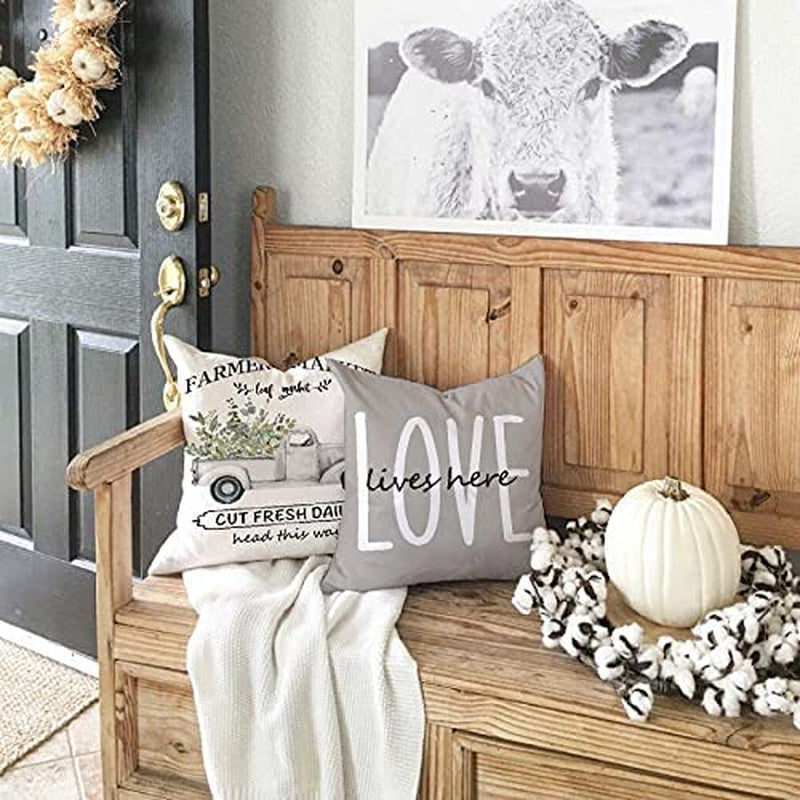 Set of 4 Farmhouse Pillow Covers  