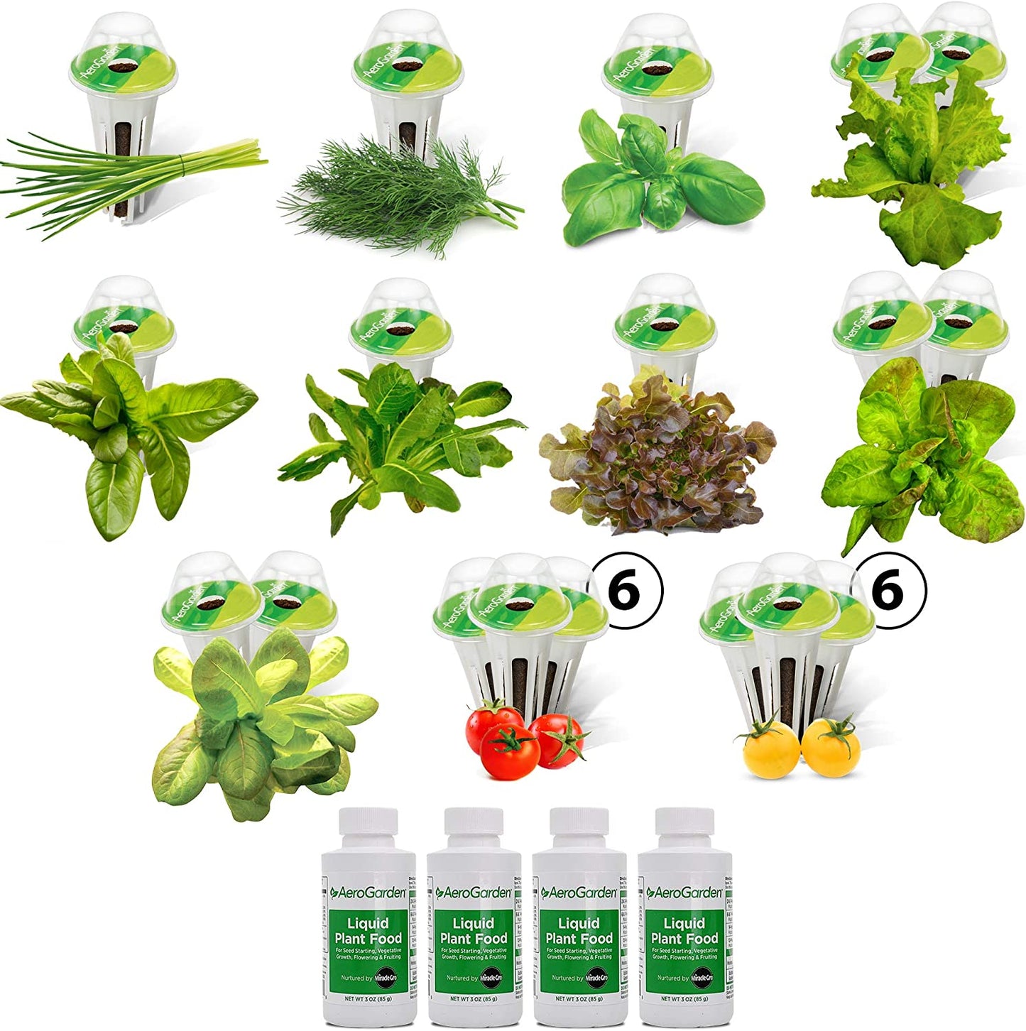  Heirloom Salad Greens Mix Seed Pod Kit 