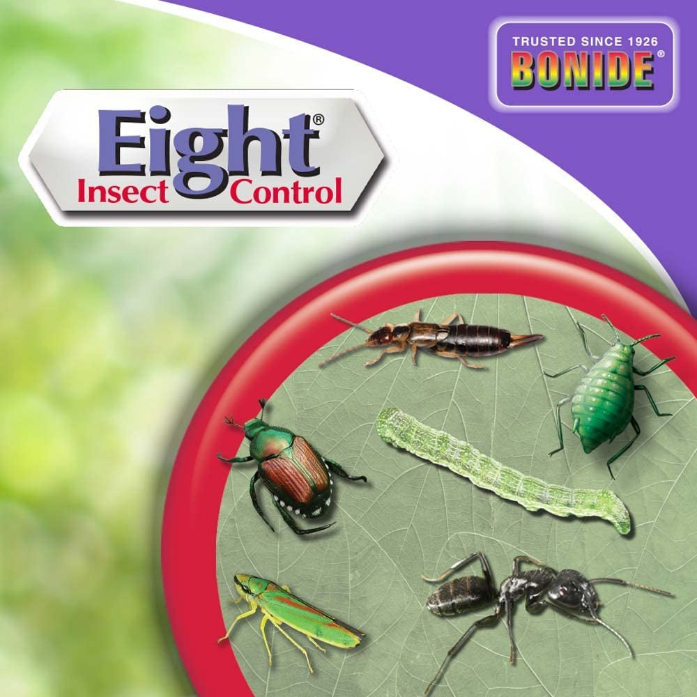 Bonide Eight Insect Control Garden & Home, 32 oz Ready-to-Use Spray Insecticide for Outdoor Use, Kills Beetles, Ants, Aphids