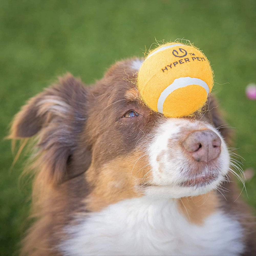  Tennis Balls, Dog Fetch Toys, Grade a Rubber Ball, Orange, 4 Count