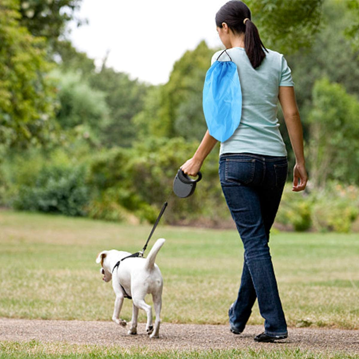  3-Stage Extendable Metal Dog Poop Rake 