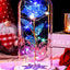  Galaxy Rose  with Butterfly in Glass Dome for Her