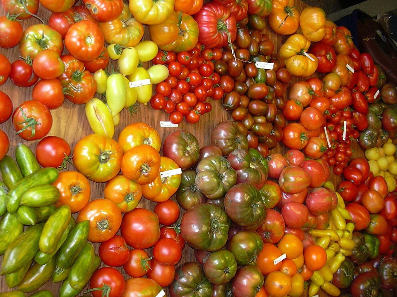 Vegetable Tomato Kaleidoscope Variety Mix (from Small to Giant) - 50 Seeds