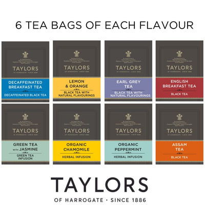 Taylors of Harrogate Assorted Specialty Teas Box , 48 Count