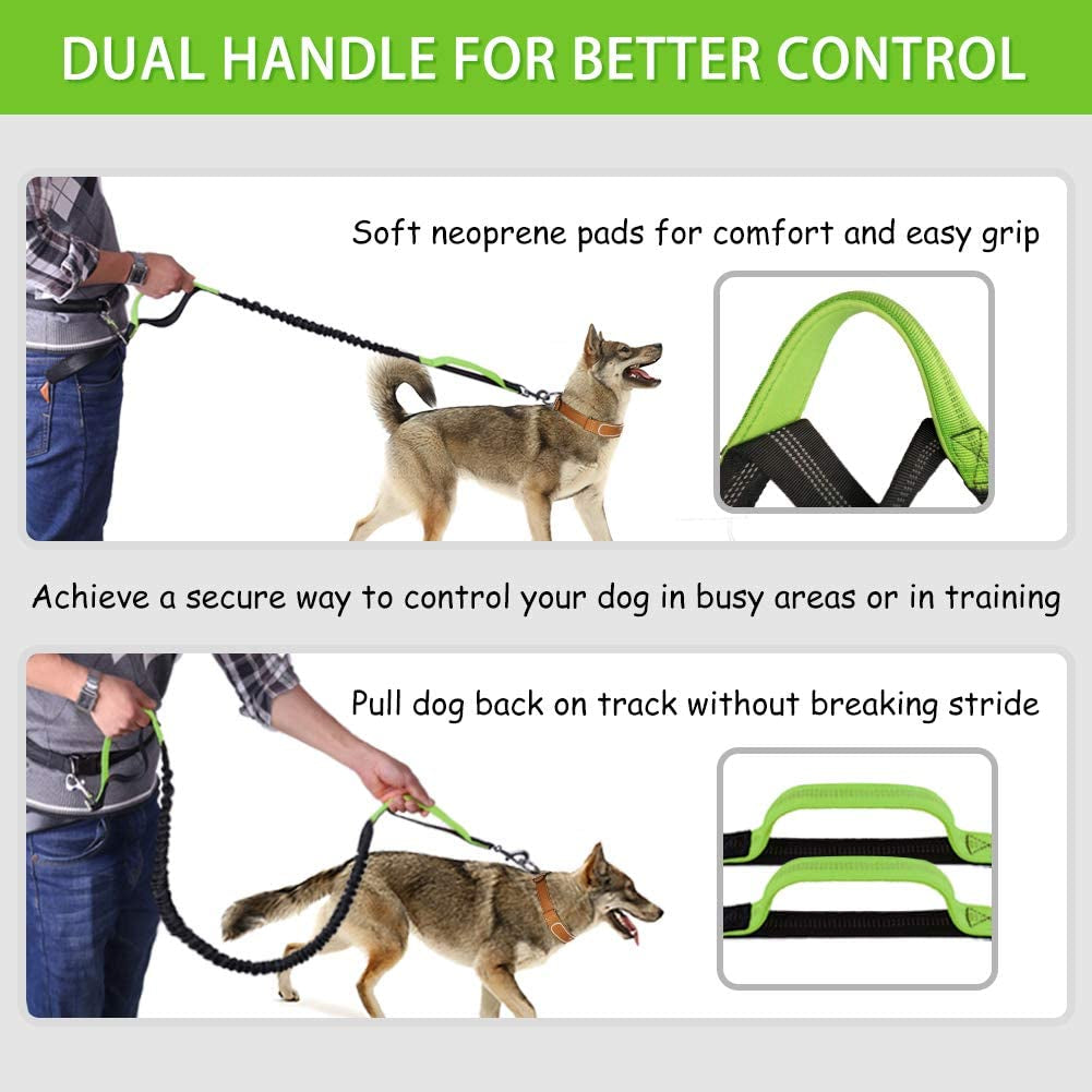 Hands Free Dog Leash for Running Walking Jogging Training Hiking