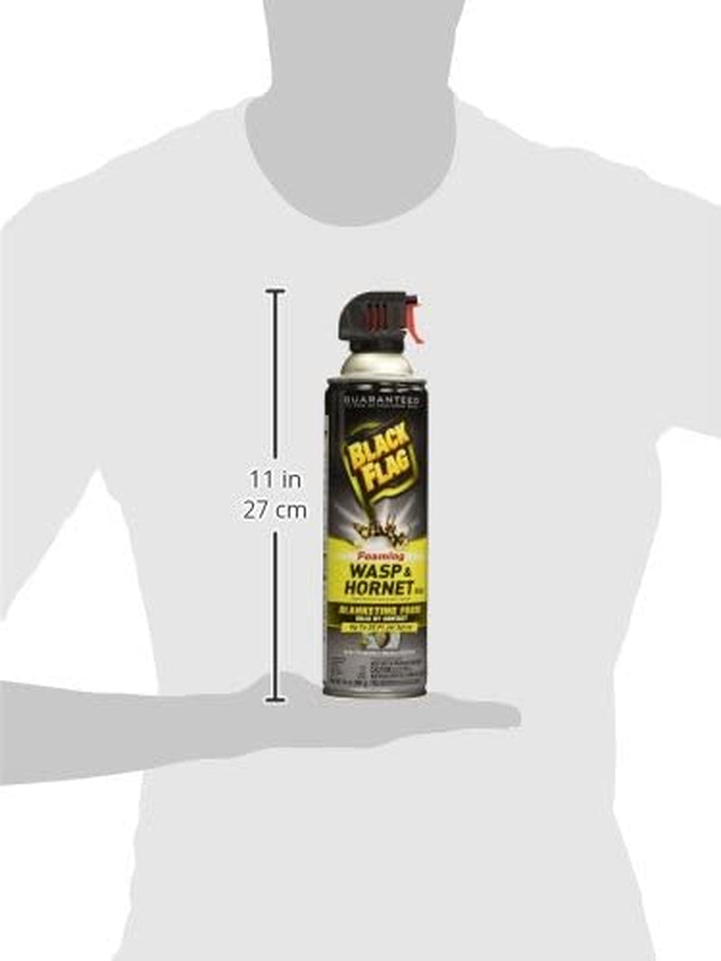 Black Flag Foaming Wasp & Hornet Killer, Kills Wasps and Hornets Nests By Contact, 14 Ounce (Aerosol Spray)