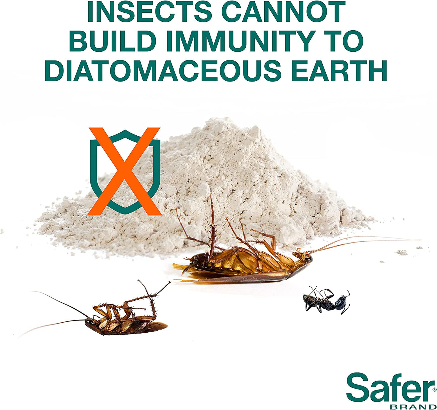  Diatomaceous Earth - Ant, Roach, Bedbug, Flea, Silverfish, Earwig, & Crawling Insect Killer