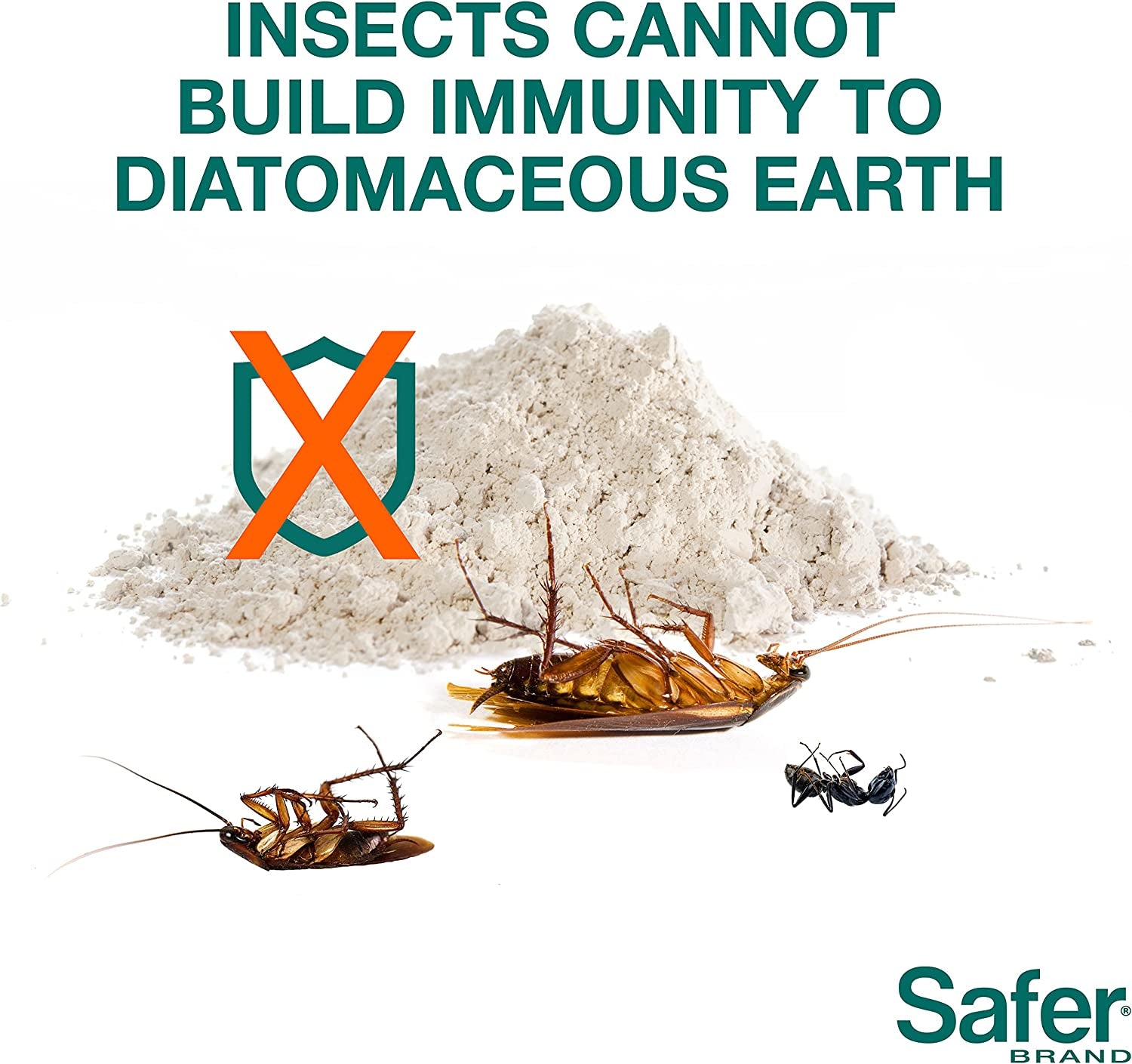  Diatomaceous Earth - Ant, Roach, Bedbug, Flea, Silverfish, Earwig, & Crawling Insect Killer