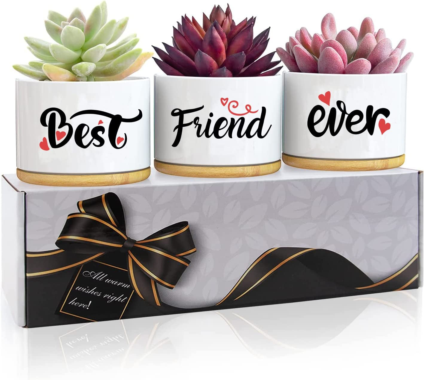 3PCS Awesome Succulent Pots For Her