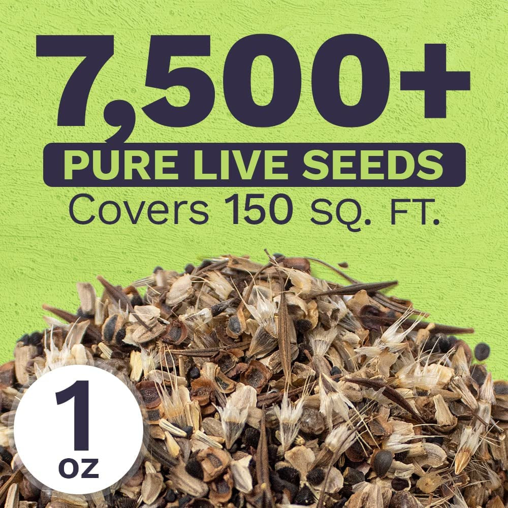  Over 7,500 Fresh Open Pollinated Non-GMO Wildflower Seeds 