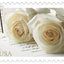 USPS Wedding Roses 2011 Forever Stamps - Book of 20 Postage Stamps